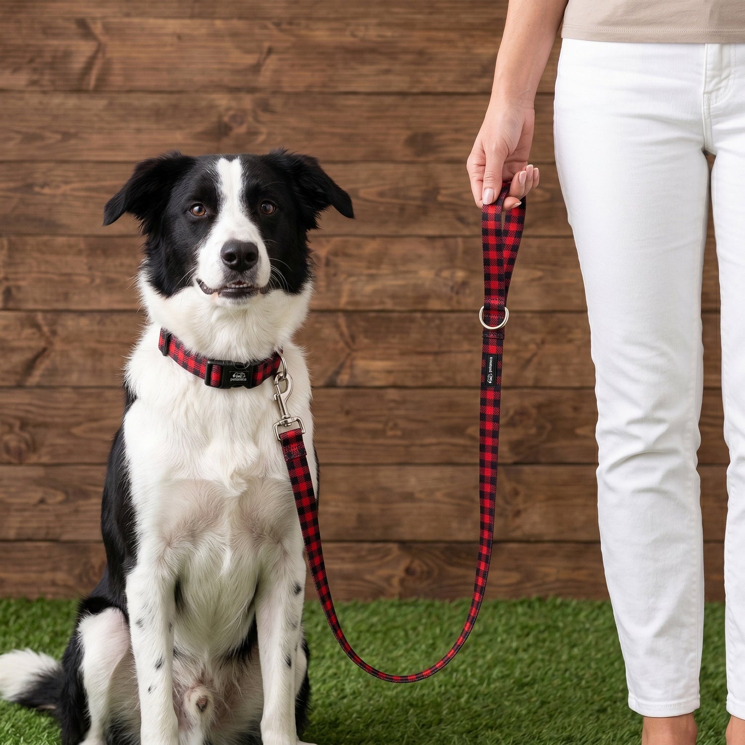 The Collar and Leash Trap I Fell Into (And How to Finally Get It Right)