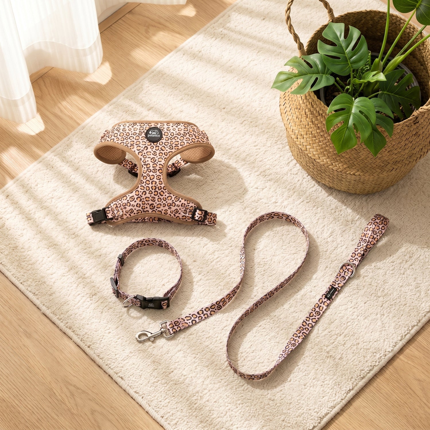 Best Dog Harness and Leash Set 2026: some Combo Picks Our Dogs Loved