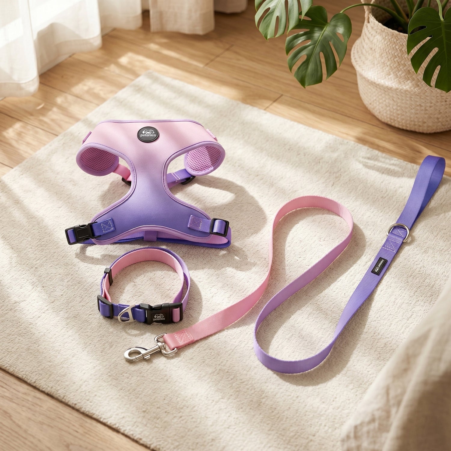 Dog Harness with Leash: Top 8 All-in-One Sets for Every Walk