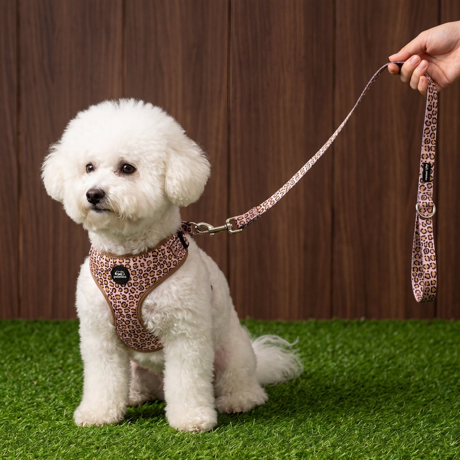 Harness and Leash Set for Small Dogs