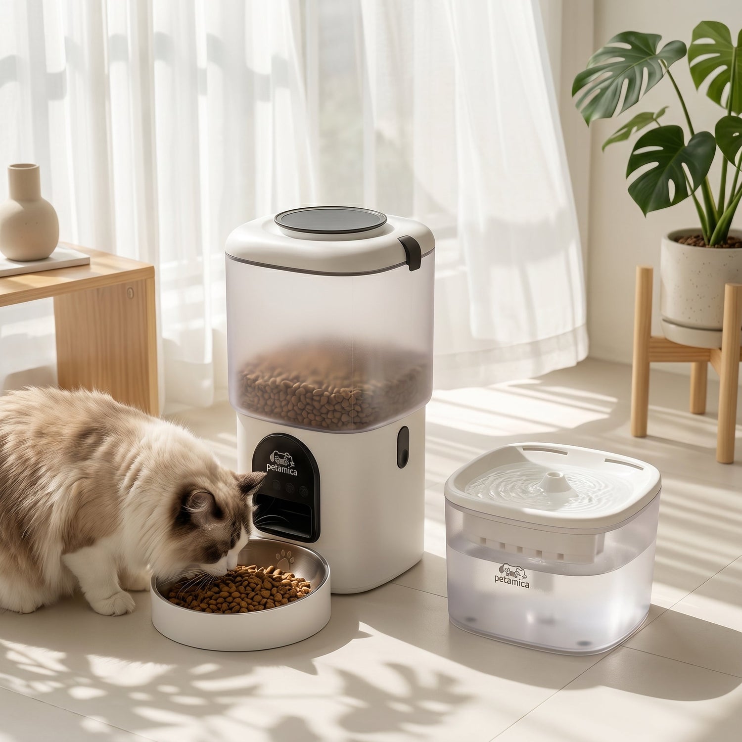 How to Keep Your Cat Hydrated: The Ultimate Guide for Pet Parents