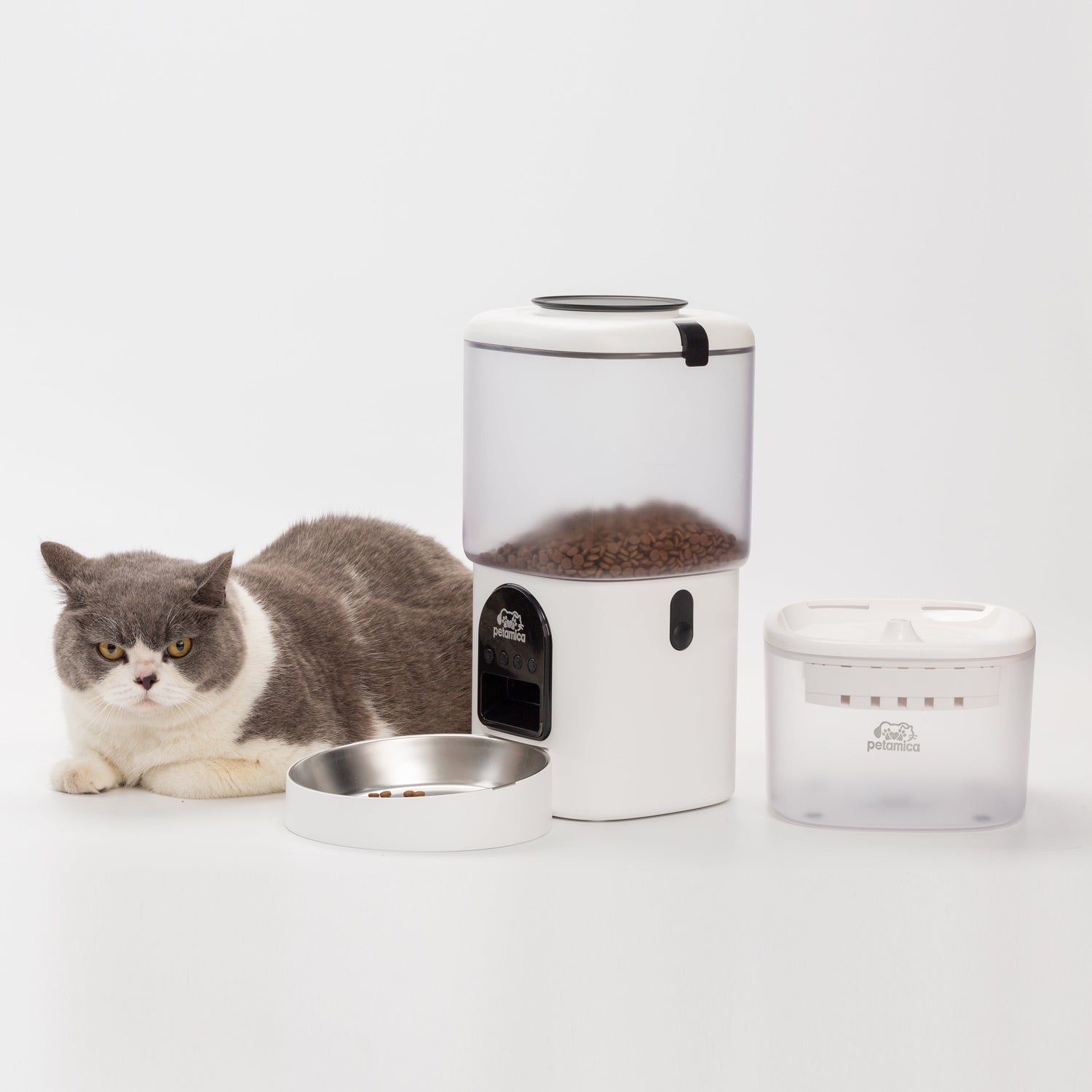 How to Get Your Cat to Drink More Water (Even Picky Ones)